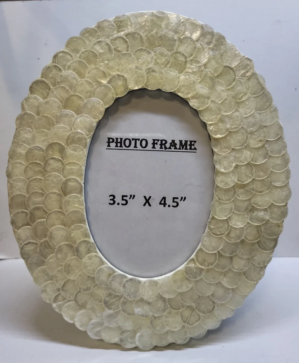 Pottery Barn Kids Overlapping Shell Disc Picture Photo Frame 2014 Manilla NOS